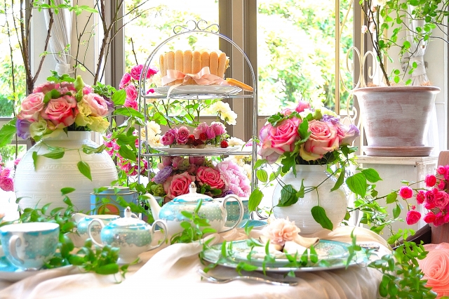 ジャングルジャックトップページ