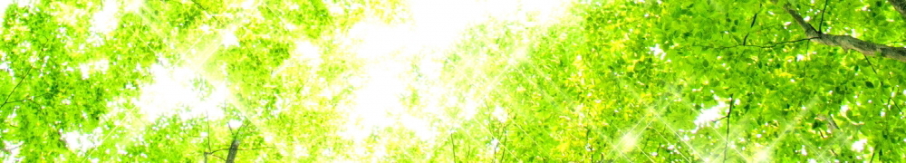 花屋フラワーギフト|港区高輪ゲートウェイ前ジャングルジャック